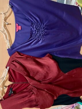 Alfani Purple Satin Blouse Bundle